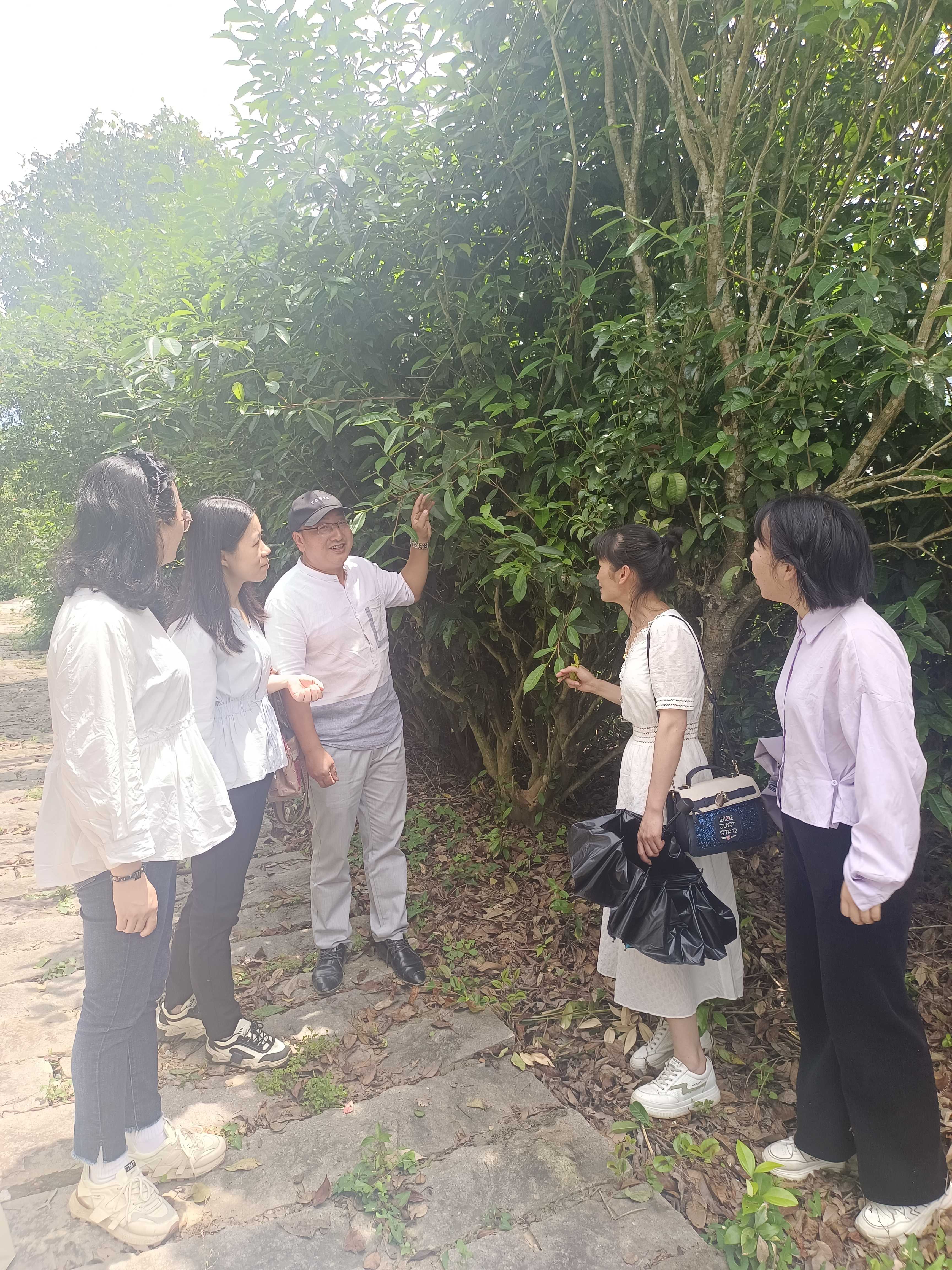 福建茶科所王振康主任向本站科技人员介绍资源圃内种质资源情况.jpg