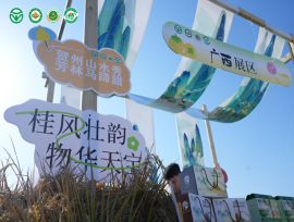 “芳林马蹄”引领绿色风潮，四省联动助推乡村振兴