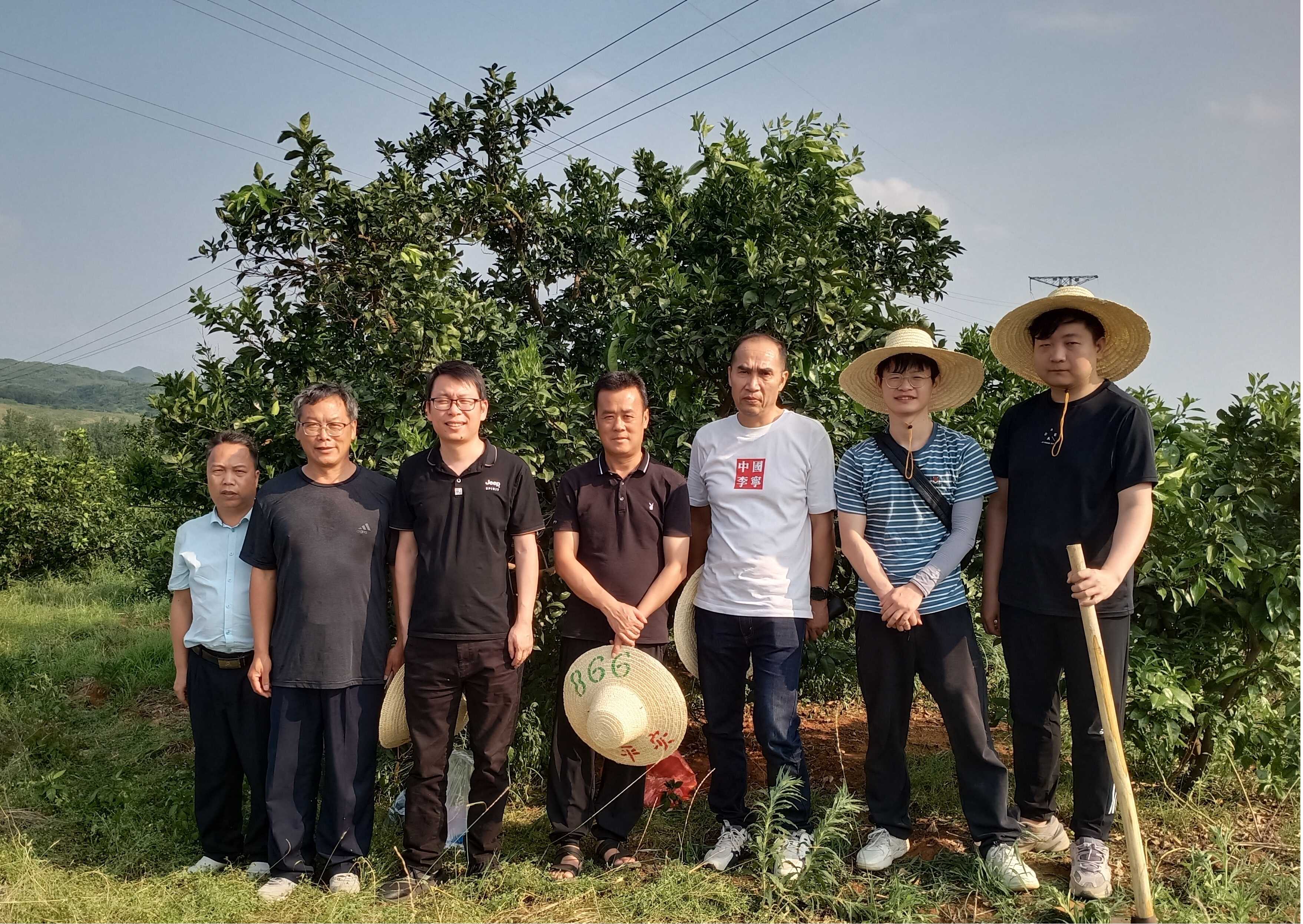 图片2.jpg