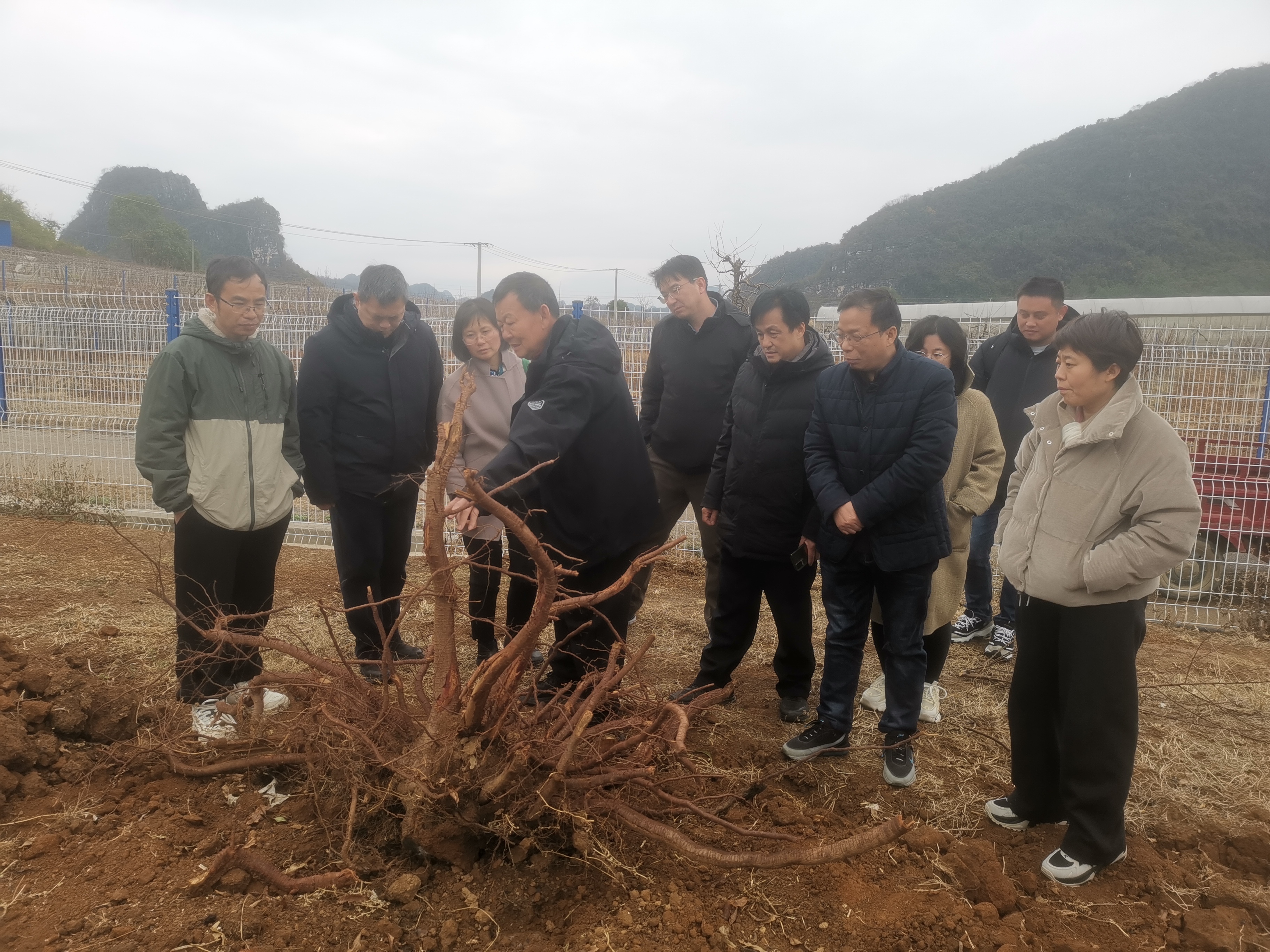 照片2.jpg