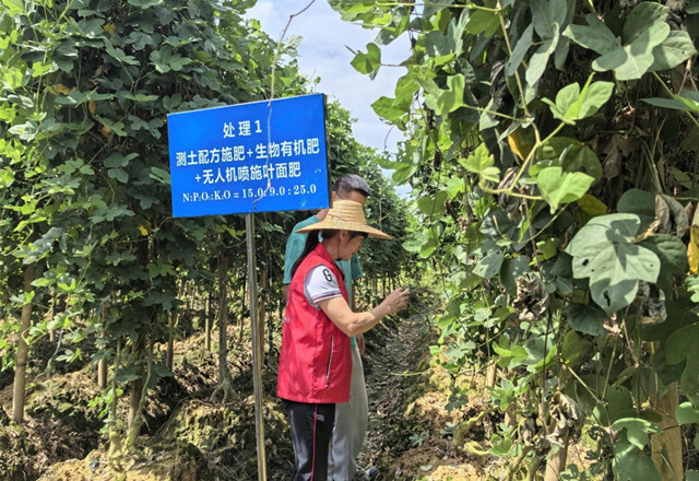 图片4_副本.jpg