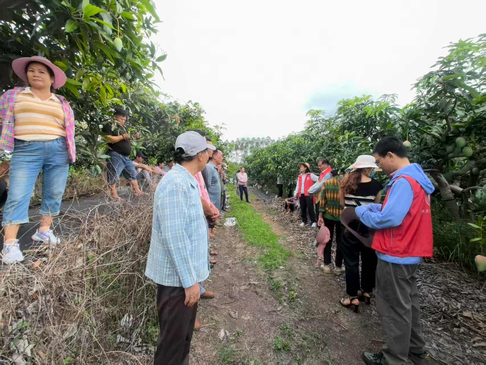 图2 桂南站罗慧站长讲解树冠骨干枝构建方法和重要性(那徐村).jpg